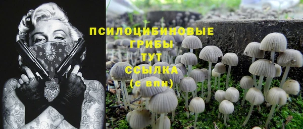 прущие крисы Кодинск