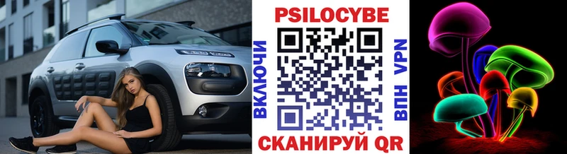 Псилоцибиновые грибы GOLDEN TEACHER  Купить где  Чернушка 